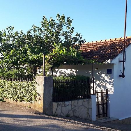 Luminaria Solis Vacation Home Rogoznica  Esterno foto